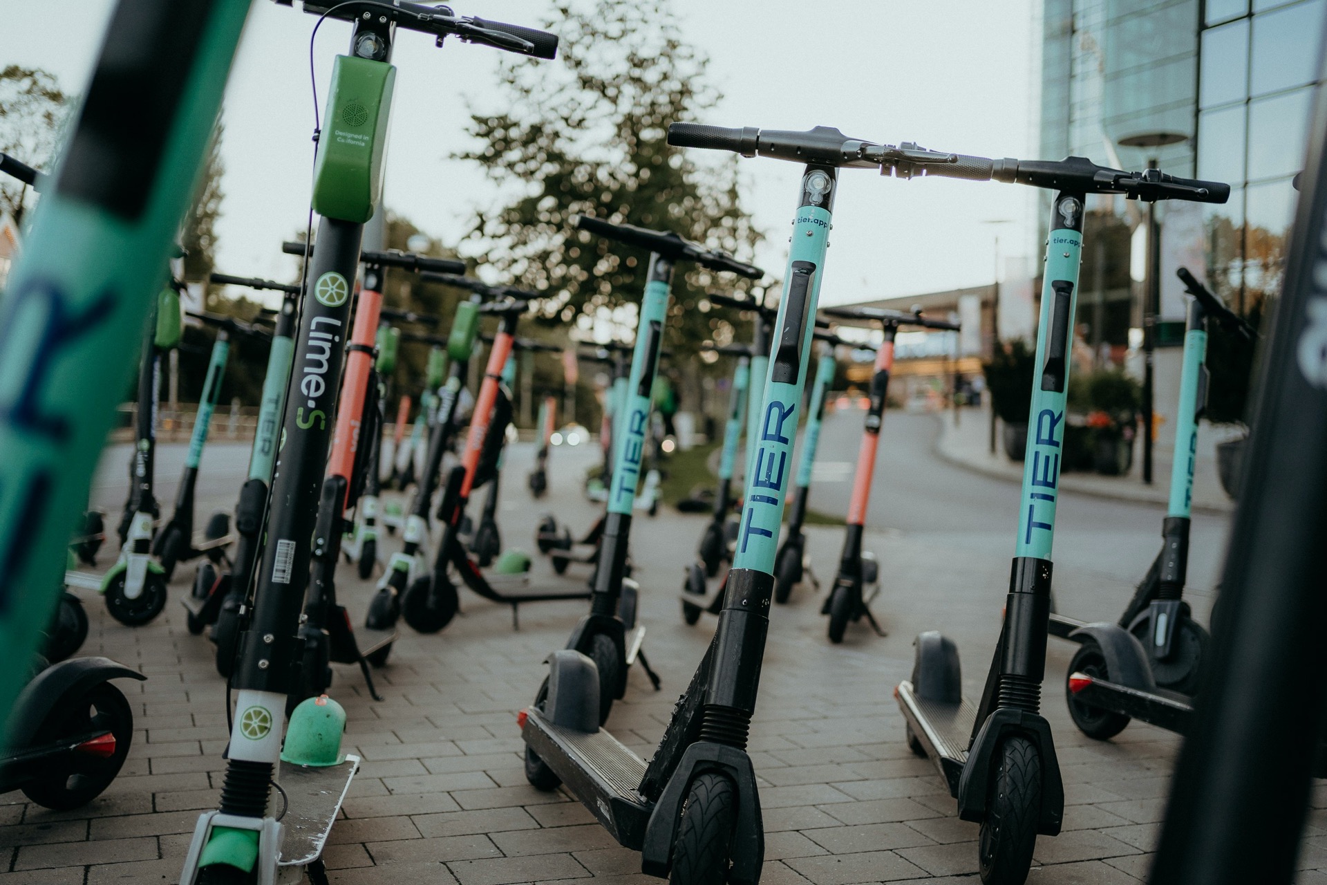 Die Werkstatt-Lücke – BrandauBikes