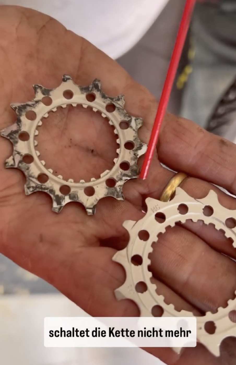 Rundum-Service & Inspektion &ndash; BrandauBikes Sch&ouml;naich
